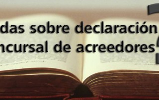 declaracion concursal de acreedores